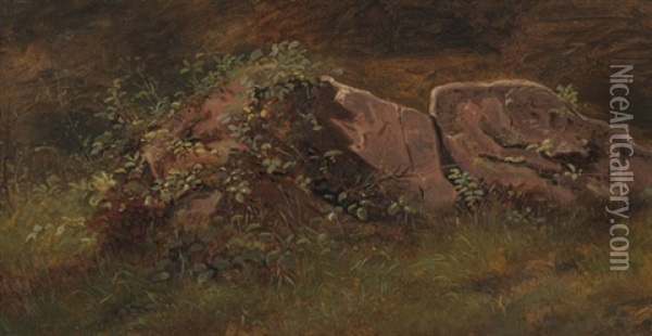 Naturstudie Oil Painting - Johann Heinrich Hasselhorst