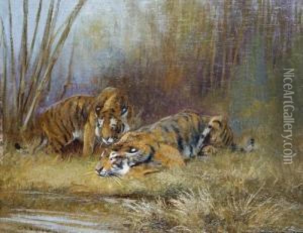 Tigers By A Watering Hole Oil Painting - Cuthbert Edmund Swan