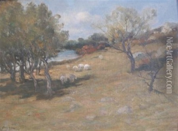 Country Landscape With Sheep Grazing Oil Painting - Charles Paul Gruppe