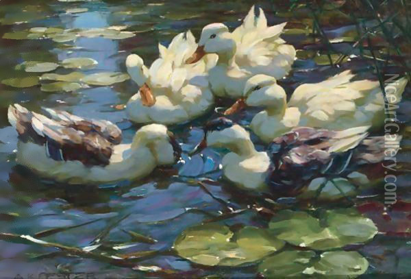 Five Ducks In A Pond Oil Painting - Alexander Max Koester