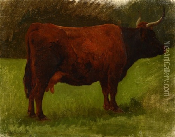 Vache De Salers Oil Painting - Auguste (Francois Auguste) Bonheur
