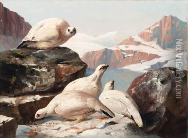 Grouse In The Snow, A Pair Of Paintings
Both Signed 'j. C. Bell 1861' (one Lower Left, One Lowerright) Oil Painting - John Christopher Bell