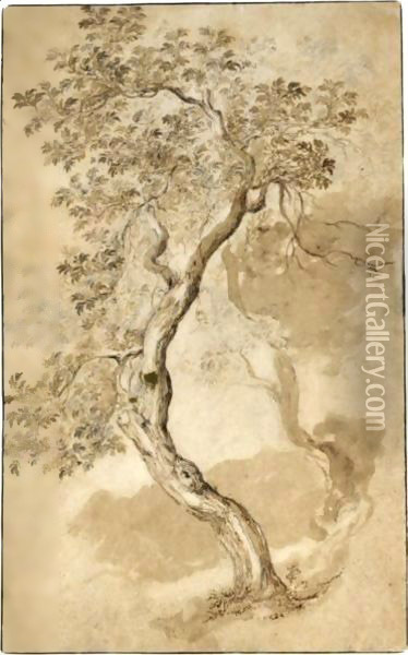 Study Of Two Trees Oil Painting - Abraham Bloemaert