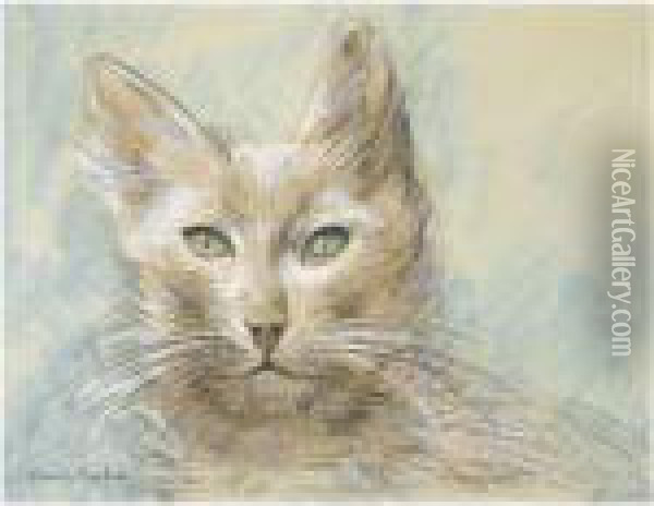 Tete De Chat Oil Painting - Francis Picabia