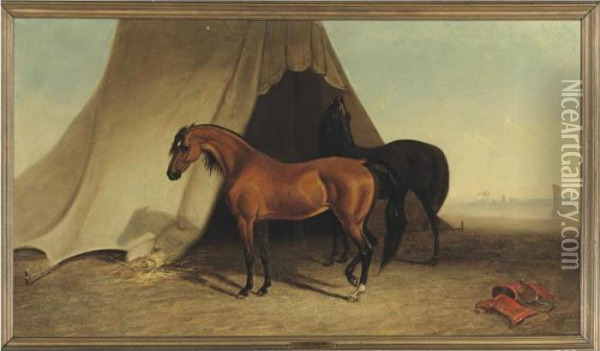 Two Arabs By A Tent Oil Painting - Edward Troye