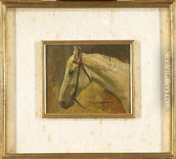 Testa Di Cavallo Oil Painting - Giuseppe Barison