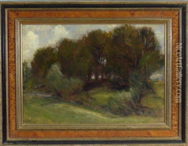 Baume Am Bachlauf Oil Painting - Max Doerner