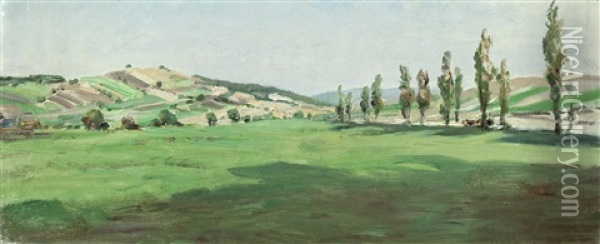 Weite Landschaft Mit Pappelallee Oil Painting - Julius von Blaas