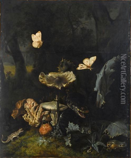 A Forest Floor Still Life With Various Fungi, Thistles, An Aspic Viper, A Sand Lizard, A Snail, A Tree Frog And Two Moths Oil Painting - Otto Marseus van Schrieck