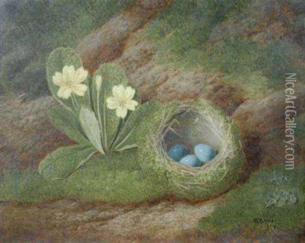Primroses And A Moss-covered Blackbird's Nest On A Grassy Bank Oil Painting - George Crisp