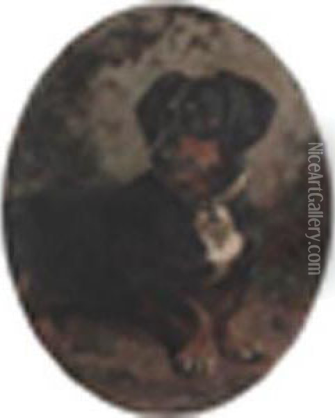 Adachshund Oil Painting - William Osborne