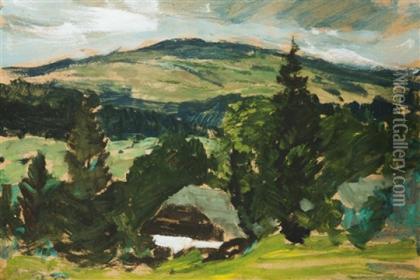 Motiv Aus Dem Bohmerwald Oil Painting - Gustav Macoun