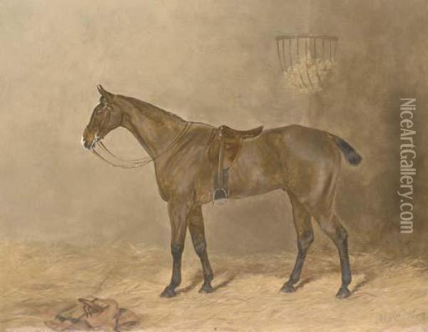 Goodwin, A Bay Hunter In A Stable Oil Painting - Henry Frederick Lucas-Lucas