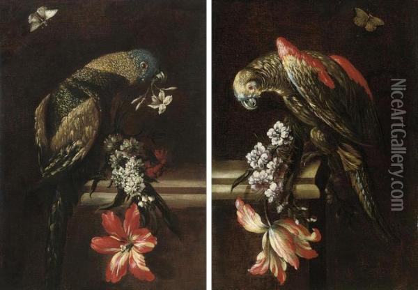 A Parrot With Blue, Green And 
Gold Plumage, Perched On A Stone Ledge, With Orange Blossom Oil Painting - Mario Nuzzi Mario Dei Fiori