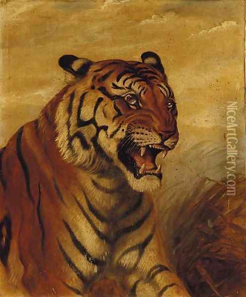 Snarling Tiger Oil Painting - English School