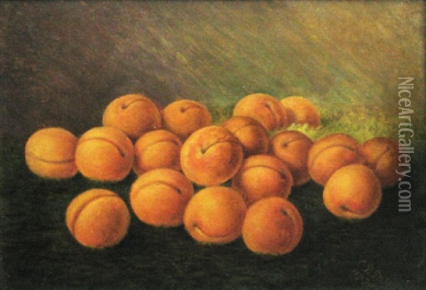 Peaches Oil Painting - Constantin Daniel Stahi