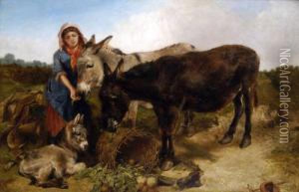 Well Done, A Peasant Girl Feeds The Donkeys, Their Foal Resting Oil Painting - Henry Weekes