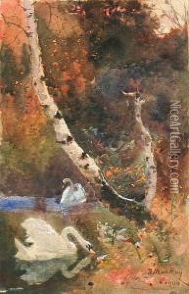 Two Swans By The Bank Of A Pool Oil Painting - Thomas Mackay