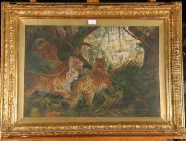 3 Tigers Stalking Their Prey Oil Painting - P H Staines