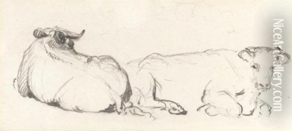 Study Of Cows Resting Oil Painting - Peter de Wint