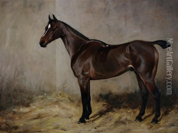 Brown Horse In Stable Oil Painting - Wright Barker
