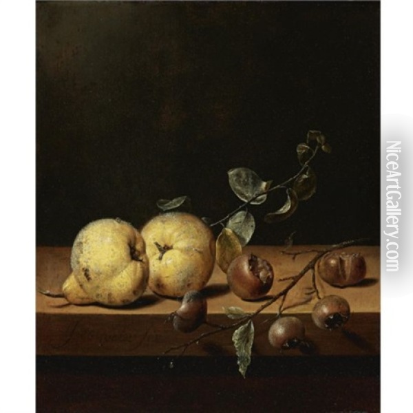 Quinces And Medlars On A Table Ledge Oil Painting - Jan van de Velde III