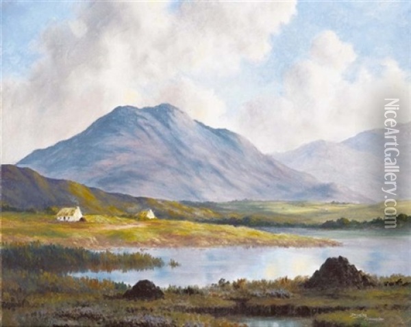 Nea Beaufort, Co. Kerry Oil Painting - Douglas Alexander