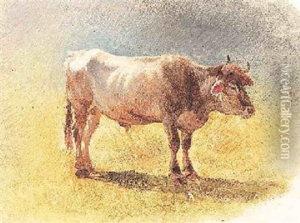 Jungbulle Oil Painting - Friedrich Gauermann
