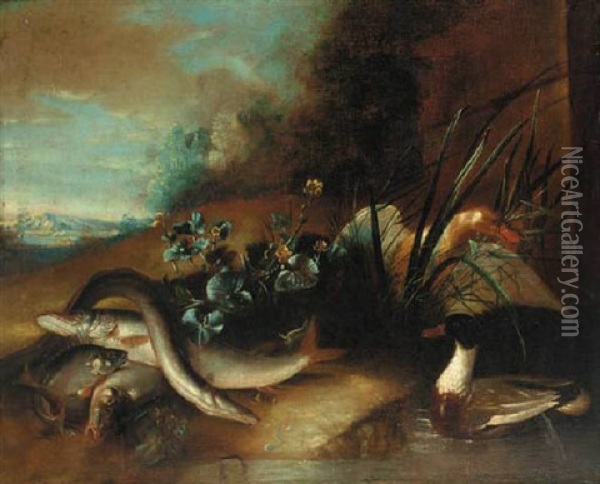 Ducks At A Pond With A Dead Eel And Other Fish On The Bank Oil Painting - Giacomo Francesco Cipper