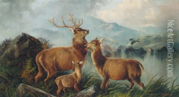 Stags Before A Loch In A Highland Landscape Oil Painting - John W. Morris