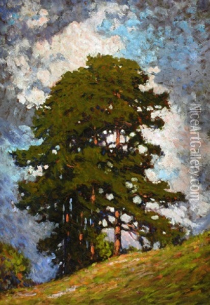 Sun & Trees Oil Painting - Francis Hans Johnston