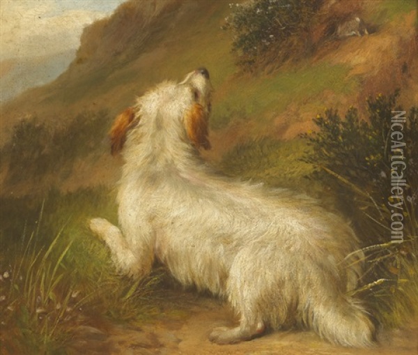Terrier And Retrievers (pair) Oil Painting - George Armfield