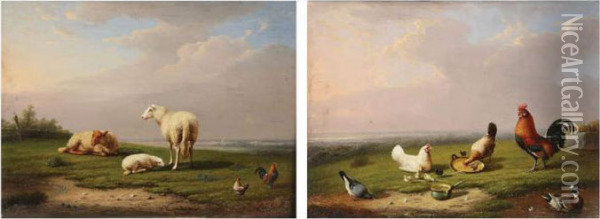 Schapen, Haan En Kippen Inlandschap. Oil Painting - Franz van Severdonck