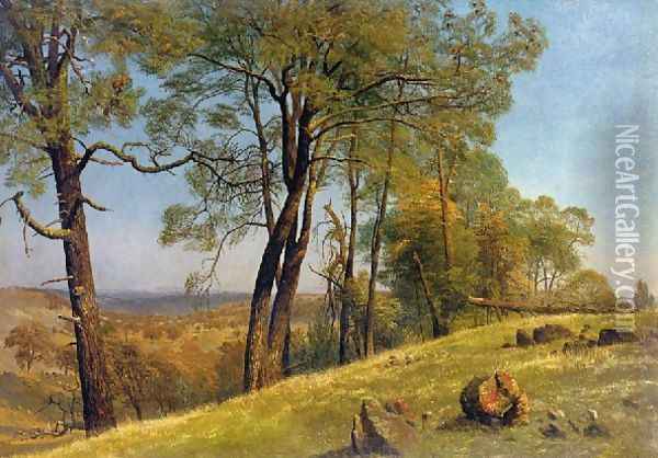 Landscape Rockland County California Oil Painting - Albert Bierstadt