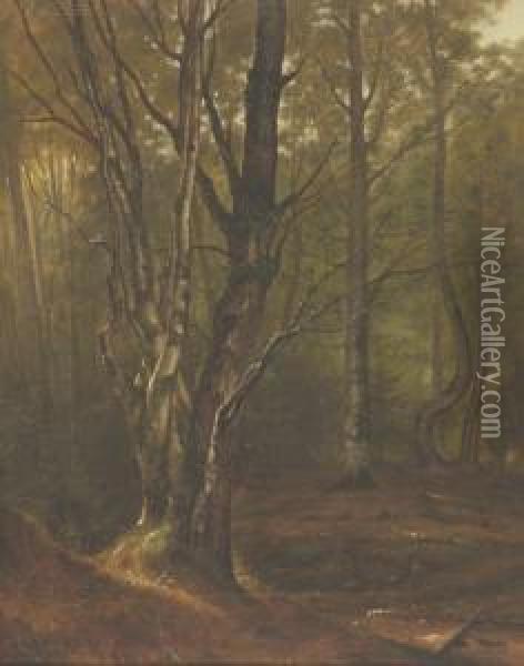 Woodland Landscape Oil Painting - Robert Melvin Decker