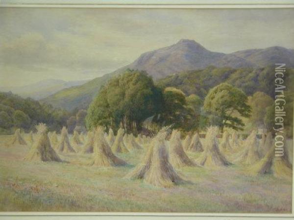 A Cornfield In Wales Oil Painting - Albert William Ayling