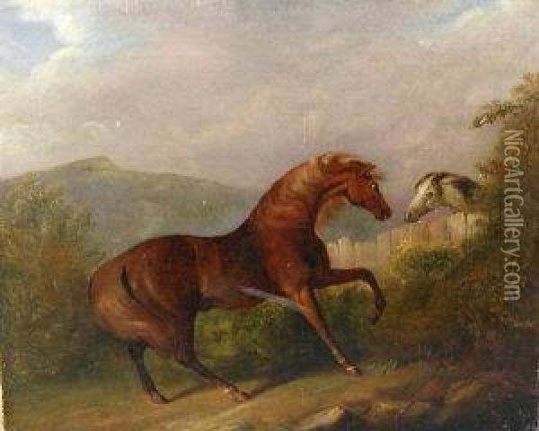 A Chestnut And A Grey Horse Divided By Fence Oil Painting - John Nost Sartorius
