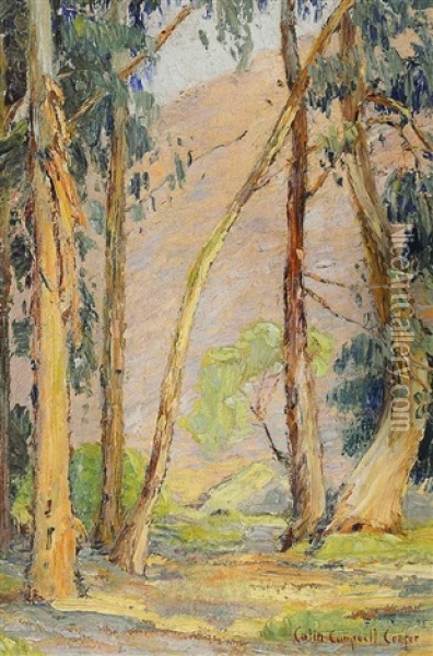 Untitled (redwood Grove) Oil Painting - Colin Campbell Cooper