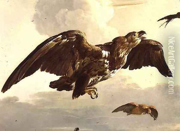 An Eagle and a Swallow in Flight Oil Painting - Melchior de Hondecoeter