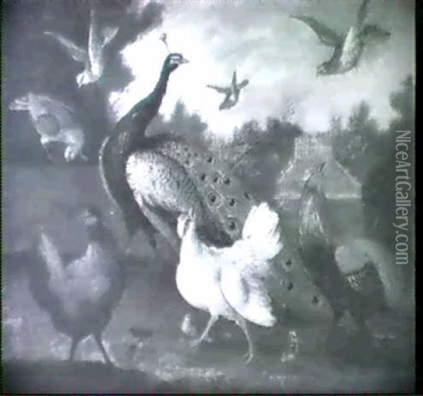 Ornamental Fowl In A Landscape Oil Painting - Marmaduke Cradock