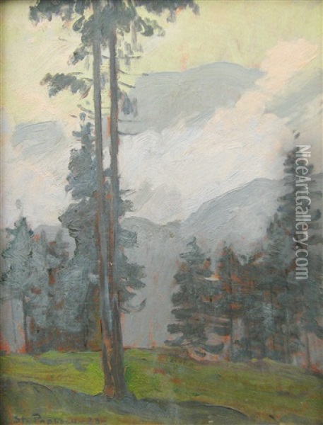 Mountain Landscape Oil Painting - Stefan Popescu
