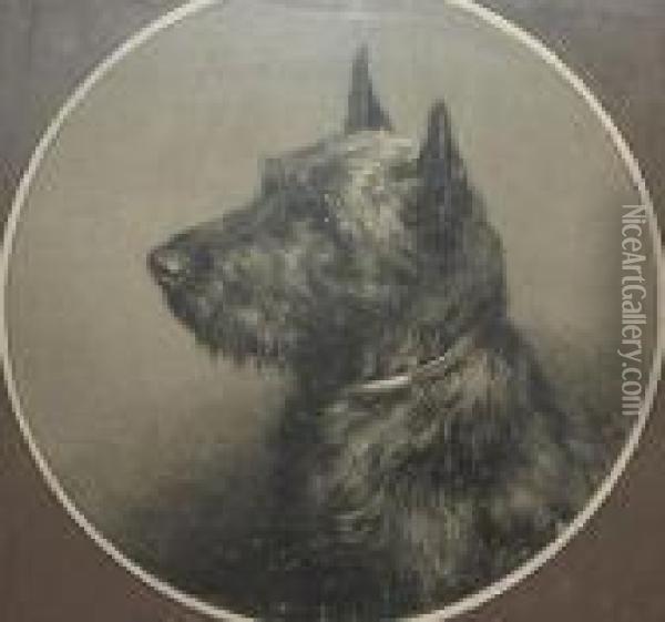 The Head Of A Highland Terrier Oil Painting - Herbert Thomas Dicksee