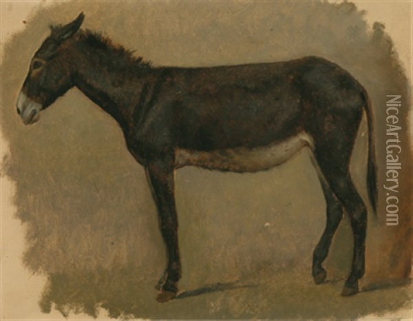 Studie Eines Esels Im Profil Oil Painting - Raffaello Pontremoli