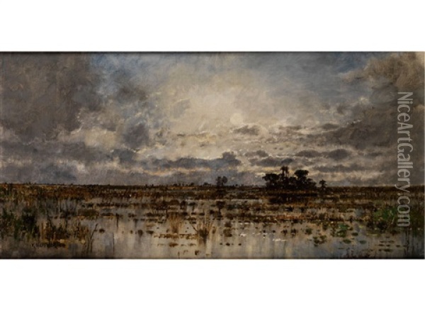 Sumpflandschaft Oil Painting - Karl Heffner