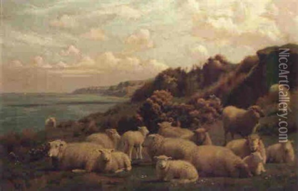 Sheep Resting In A Coastal Landscape Oil Painting - William Sidney Cooper