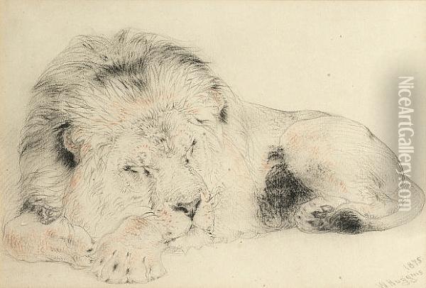 Sleeping Lion Oil Painting - William Huggins
