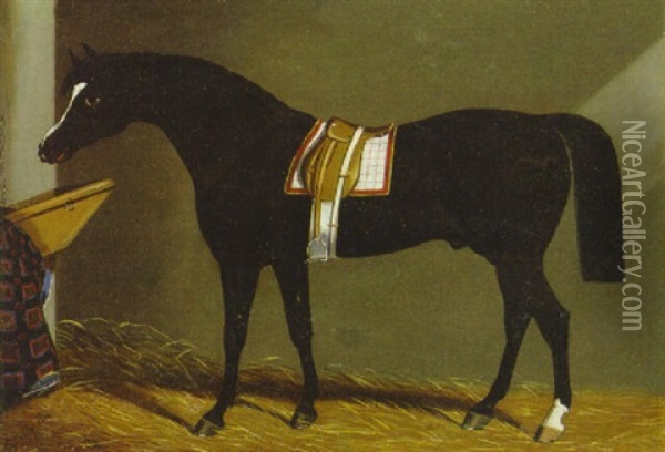 A Saddled Brown Hunter In A Loosebox Oil Painting - Edwin (of Bath) Loder