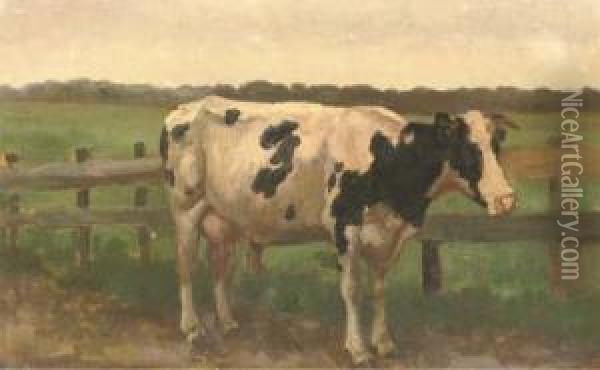 A Cow In A Meadow Oil Painting - Herman Wolbers