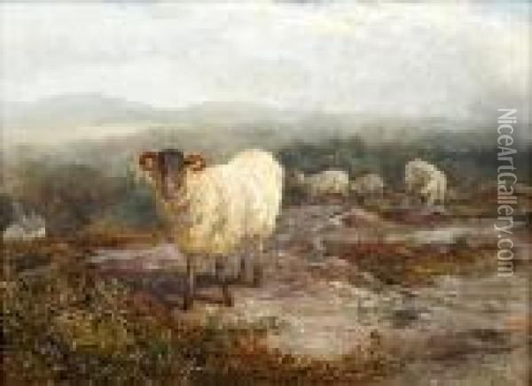 Black Face Mountain Ram Oil Painting - Samuel Bough