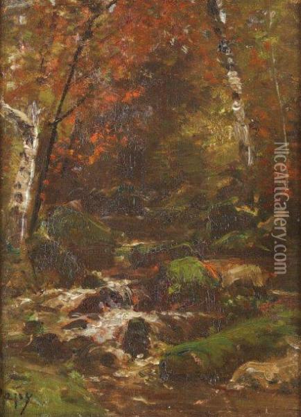 Cascade En Sous-bois Oil Painting - Louis-Aime Japy